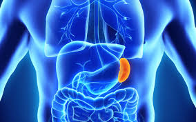 Splenectomy