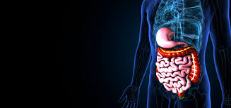 Cholecystectomy